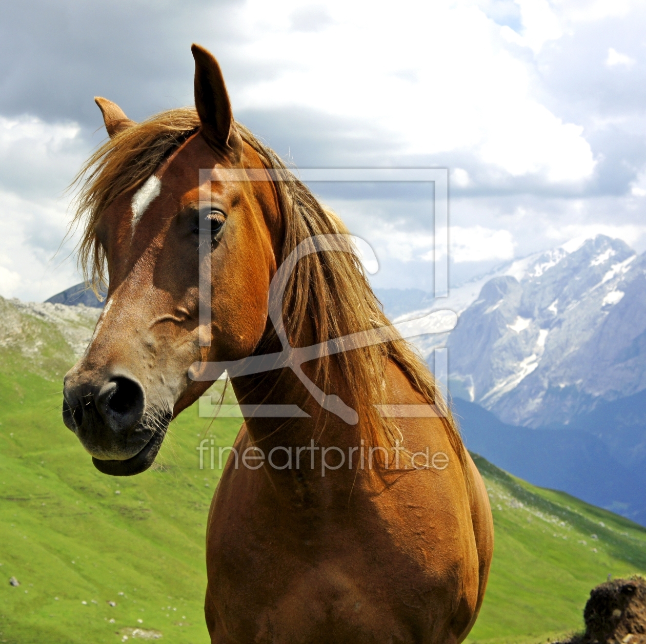 Bild-Nr.: 11595254 Pferd vor Marmolada erstellt von MartinaW