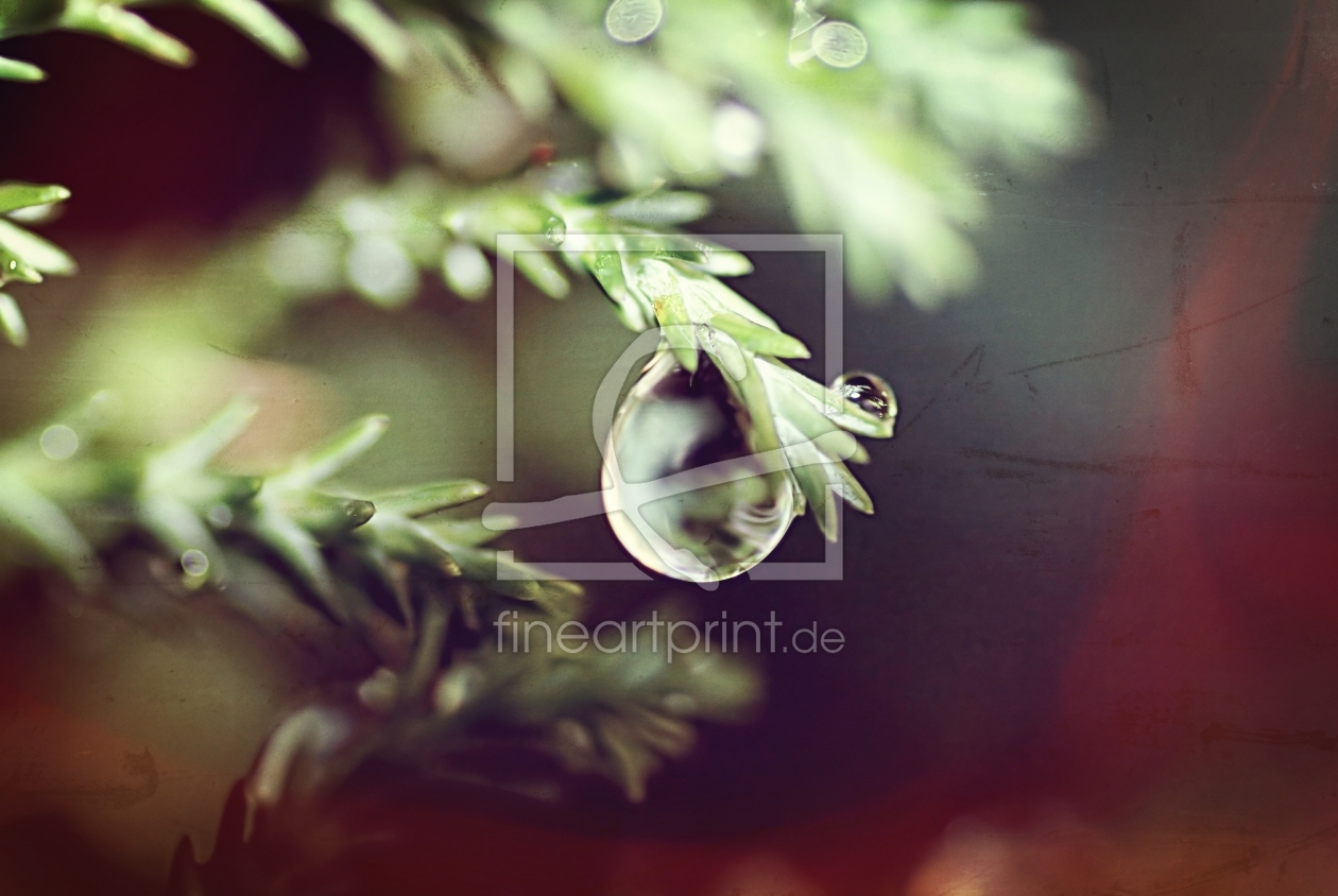 Bild-Nr.: 11595994 Regentropfen erstellt von youhaveadream