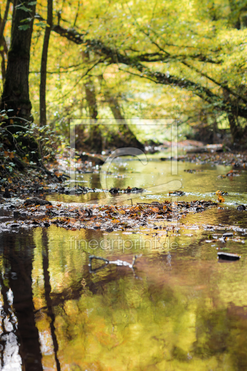 Bild-Nr.: 11597020 Herbstspaziergang erstellt von Richard-Young