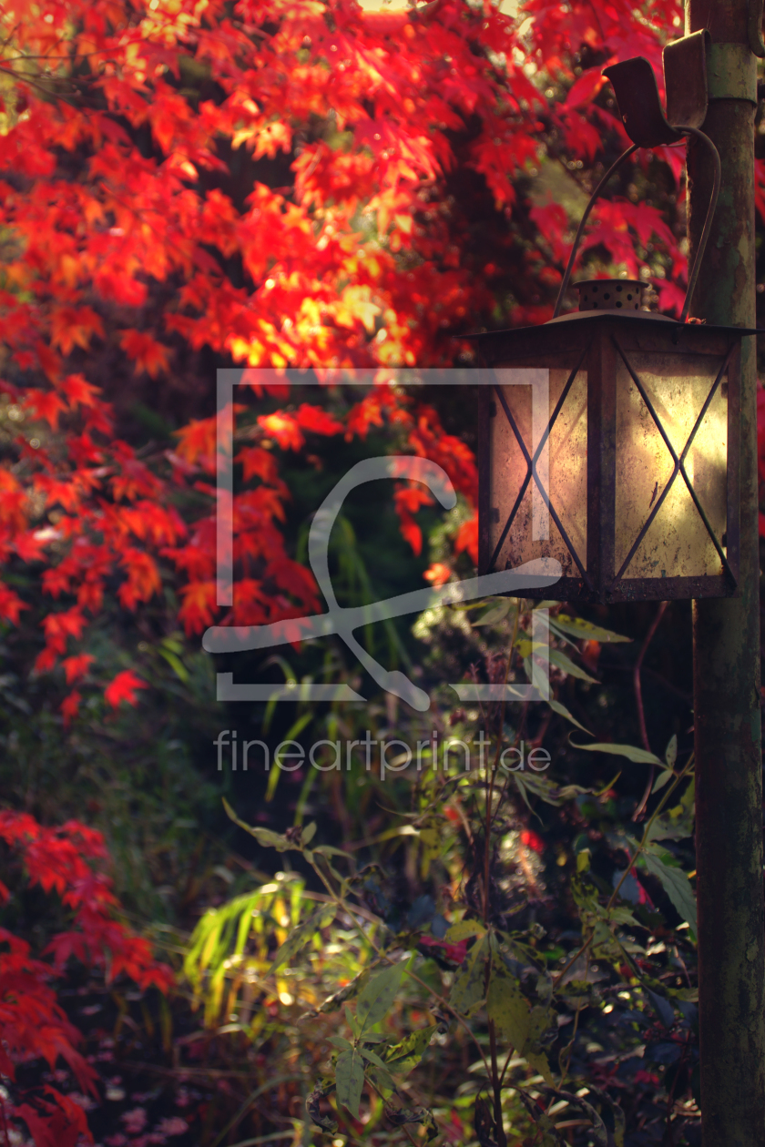 Bild-Nr.: 11597410 Herbstfreude Bild-Nr.: 11597410 Herbstfreude erstellt von Fotochris71