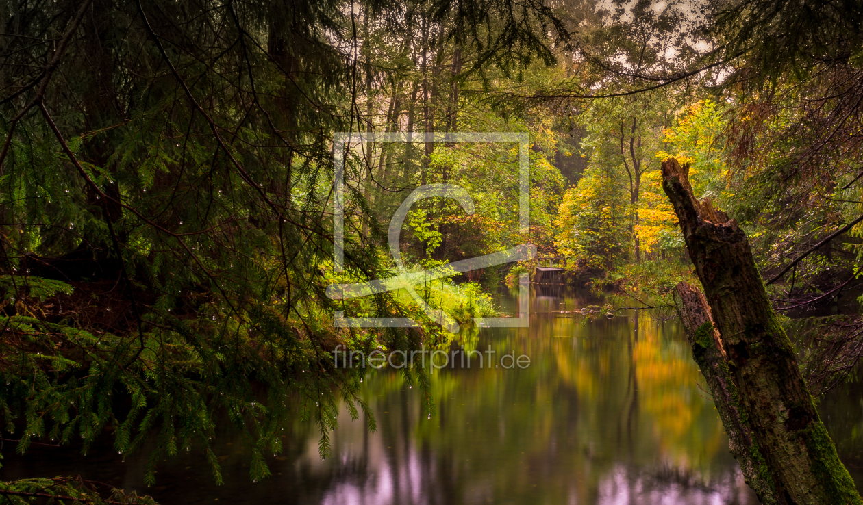 Bild-Nr.: 11597524 Herbst im Harz erstellt von Steffen Henze