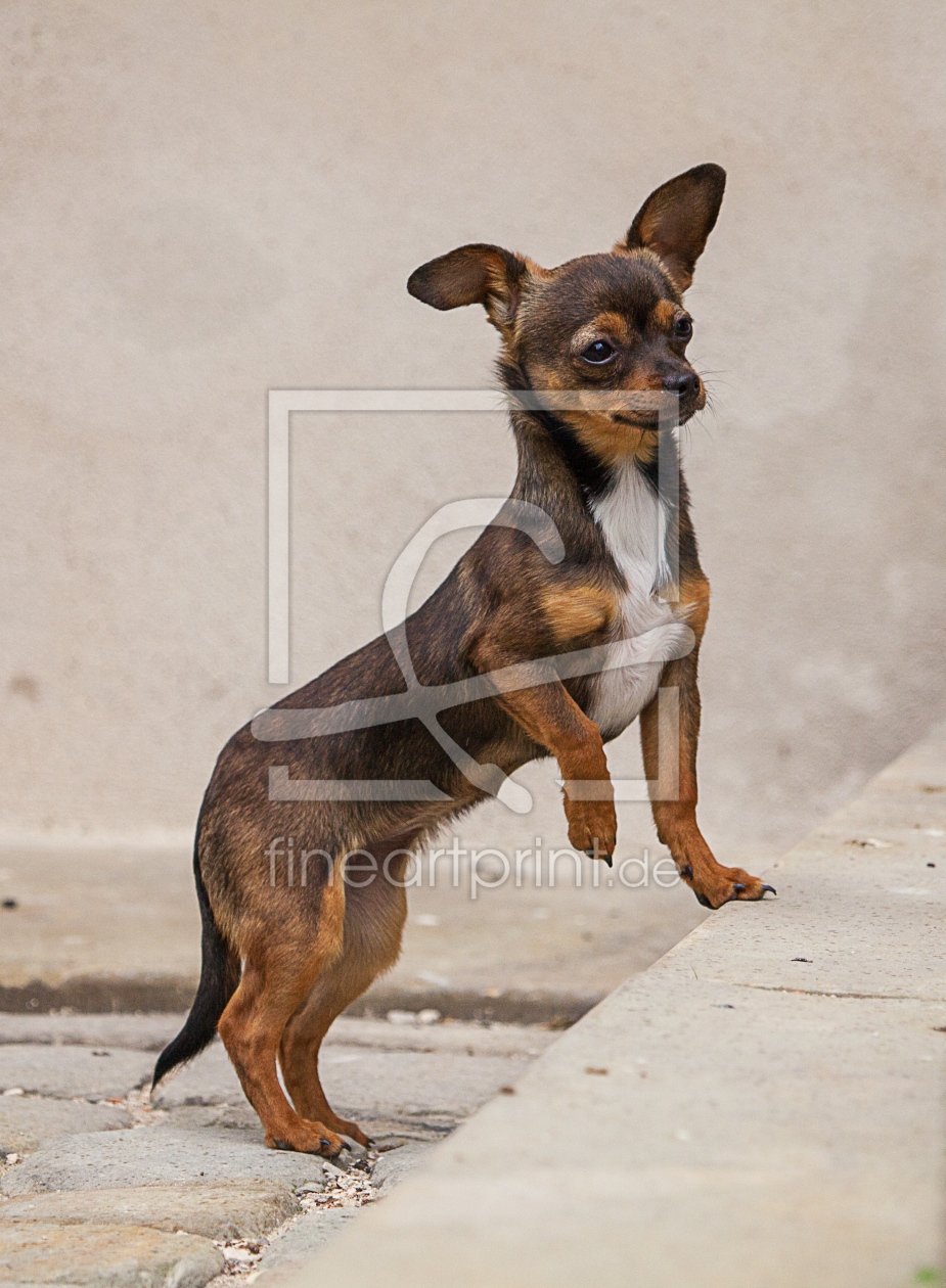 Bild-Nr.: 11598370 Nächster Schritt Bild-Nr.: 11598370 Nächster Schritt erstellt von Photocreatief