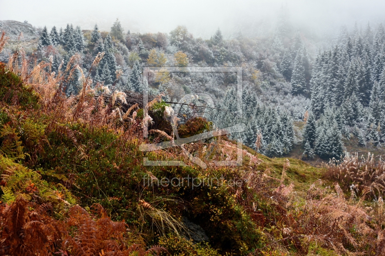 Bild-Nr.: 11598482 Herbst trifft Winter erstellt von Bettina Schnittert