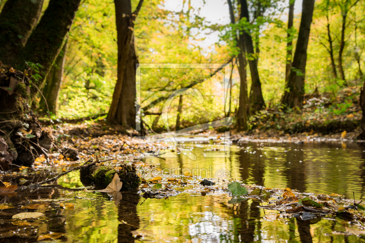 Bild-Nr.: 11598760 Herbstspaziergang erstellt von Richard-Young