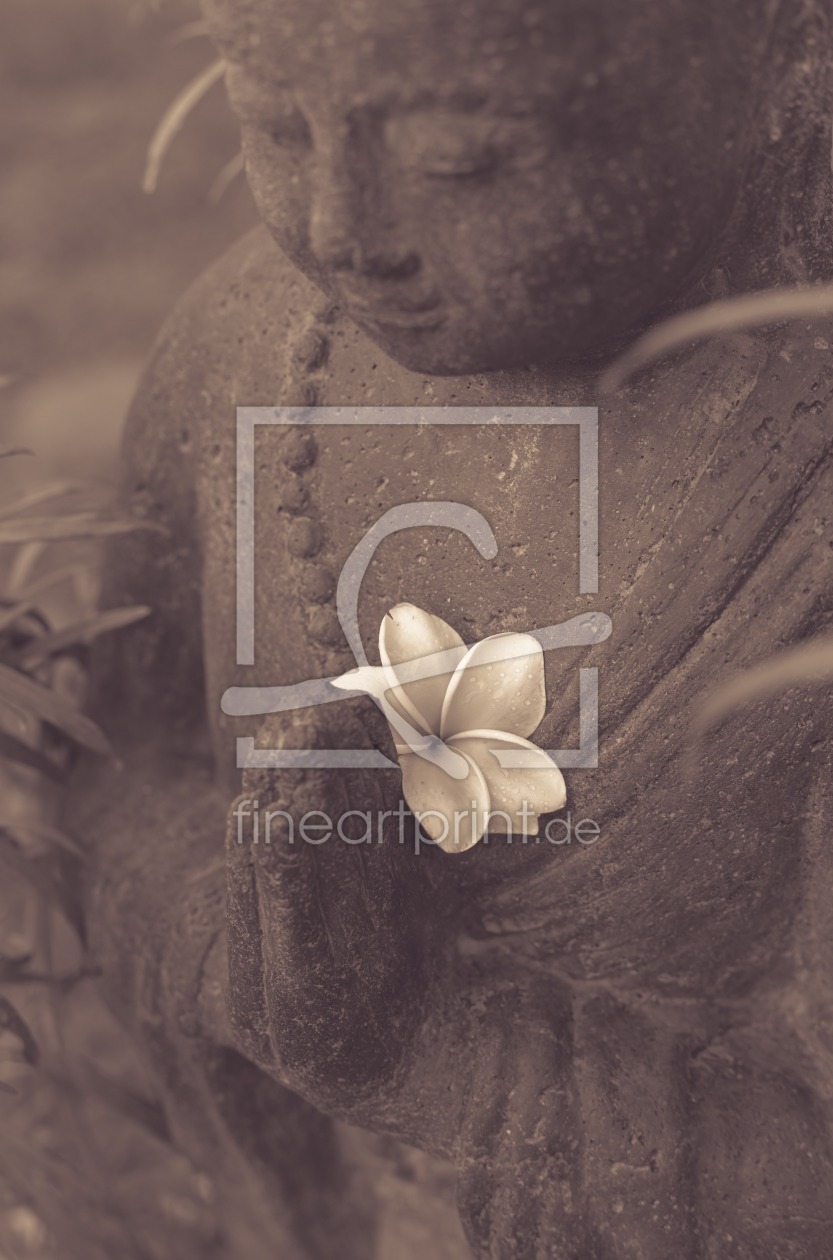 Bild-Nr.: 11600094 Buddha Statue 6778 erstellt von praxisposter