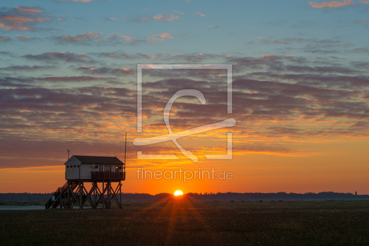 Bild-Nr.: 11601936 Sonnenaufgang in Sankt Peter Ording erstellt von Martin Wasilewski