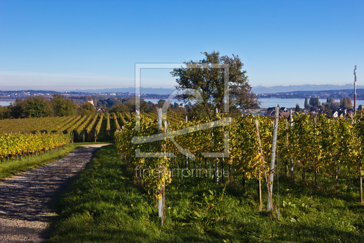 Bild-Nr.: 11602774 Herbst aufder Insel Reichenau 5 erstellt von Anja Schäfer