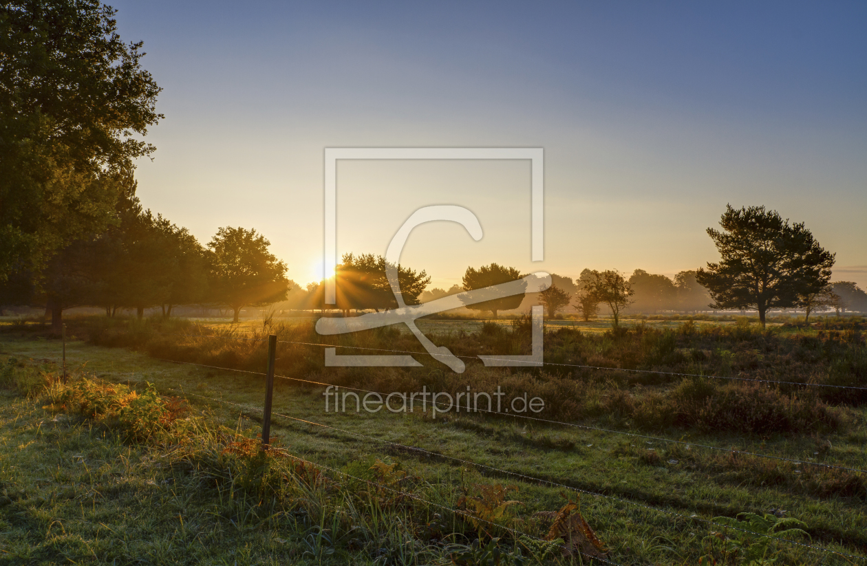 Bild-Nr.: 11602890 Sonnenaufgang in der Heide erstellt von MartinaW