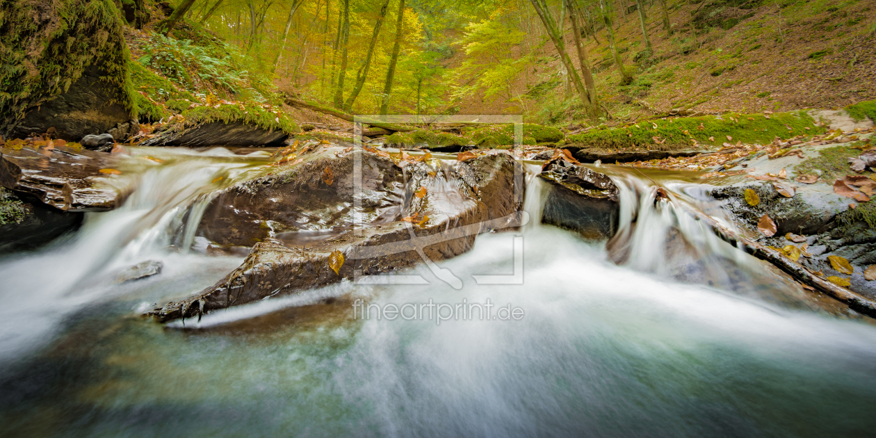 Bild-Nr.: 11602892 Herbstspaziergang erstellt von Richard-Young