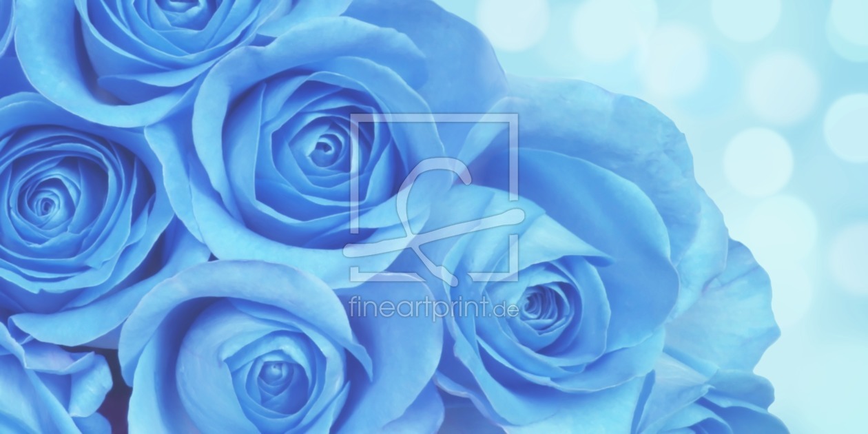 Bild-Nr.: 11603104 Blaue Rosen erstellt von Darlya