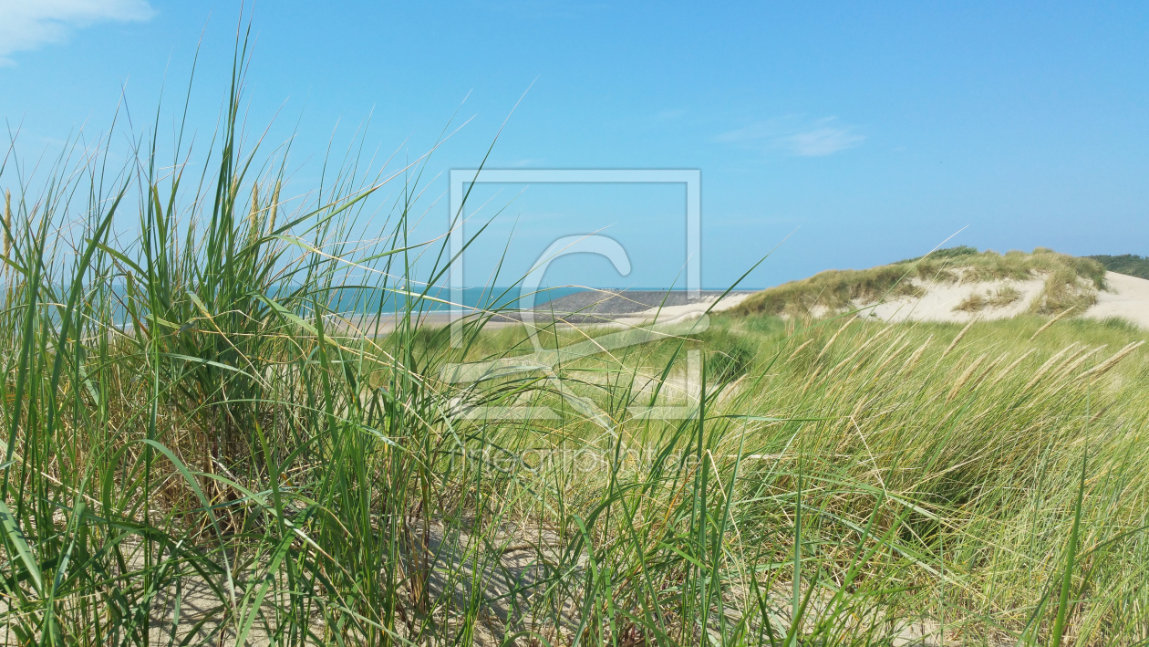 Bild-Nr.: 11603516 dune erstellt von albrecht