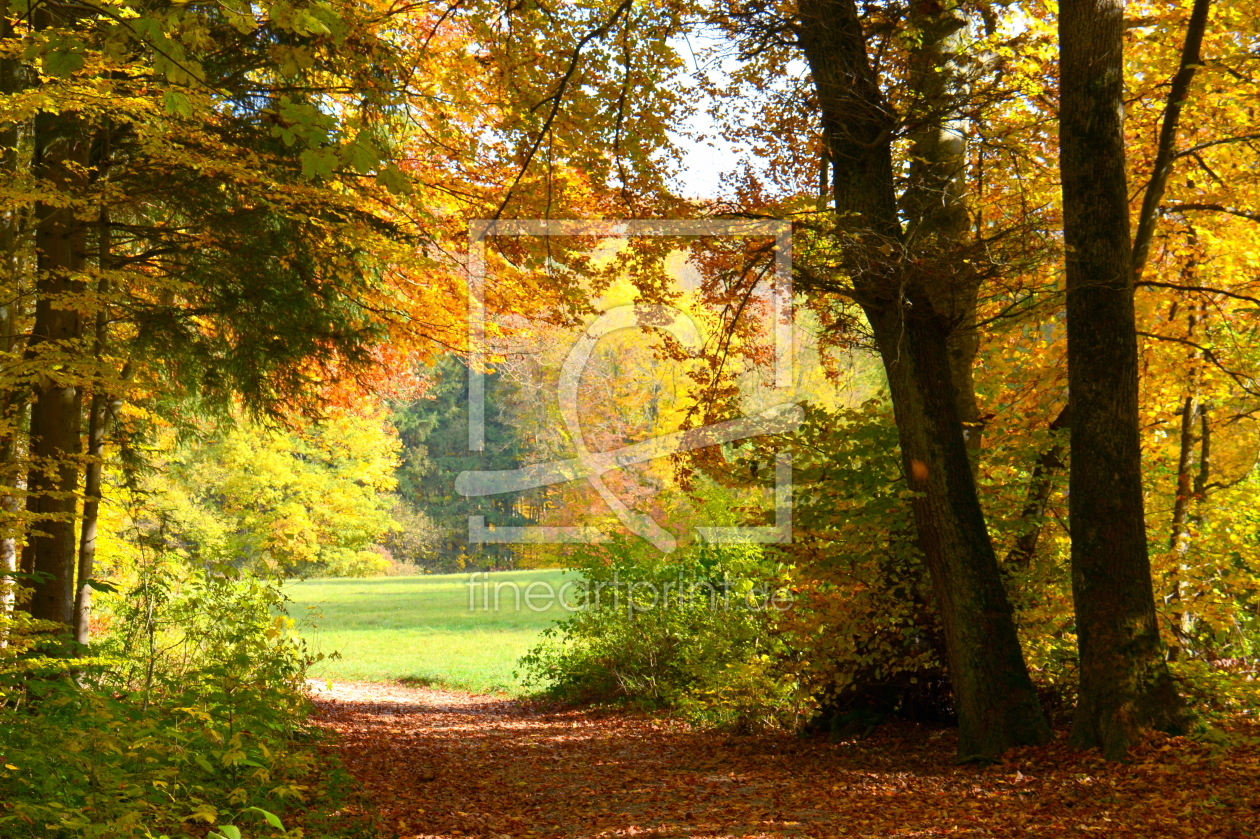 Bild-Nr.: 11604587 Herbstlicht erstellt von GUGIGEI