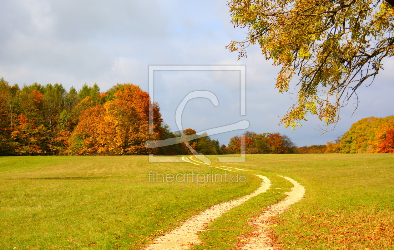 Bild-Nr.: 11604687 Weg in den Herbst erstellt von GUGIGEI