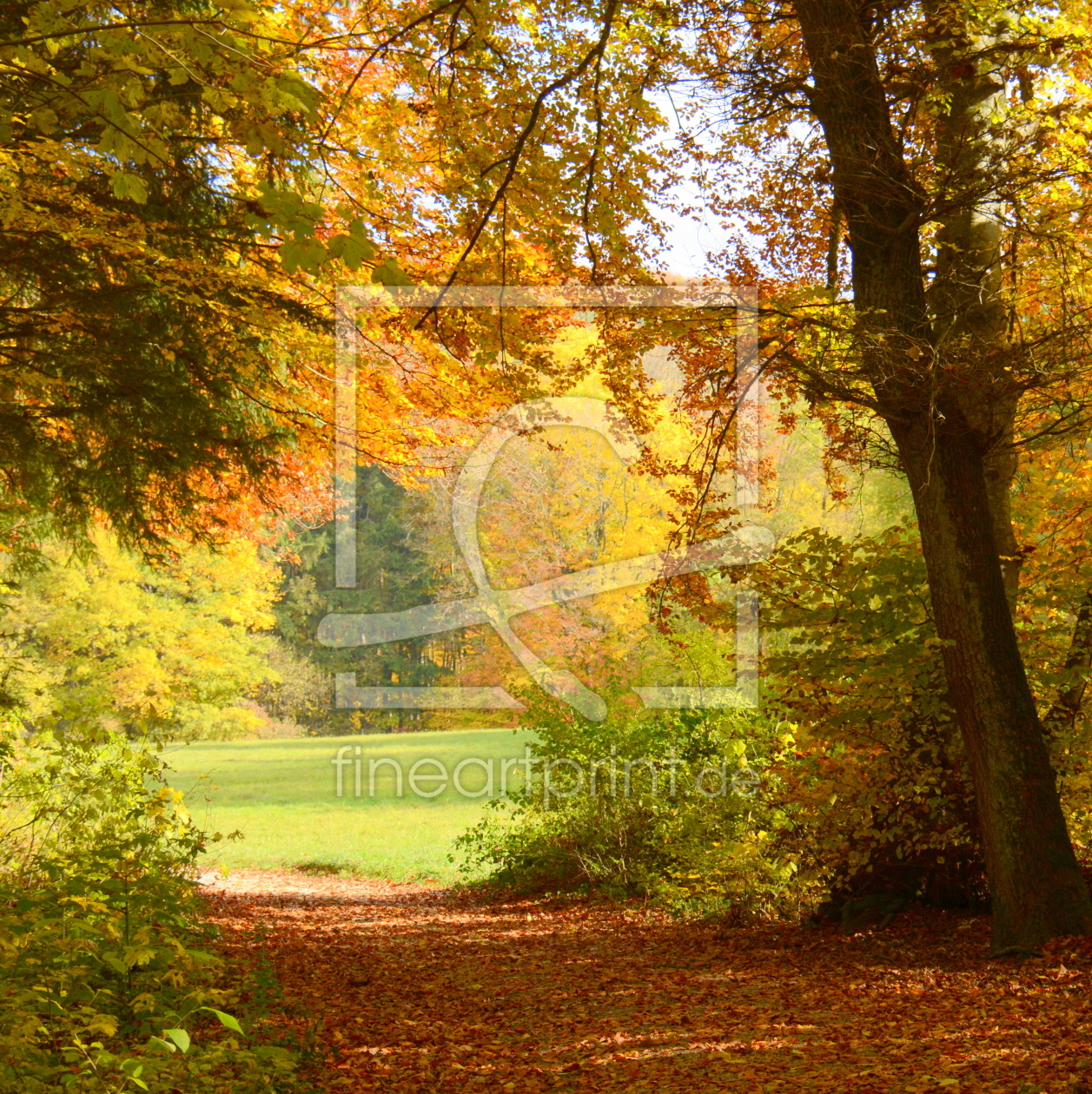 Bild-Nr.: 11605885 Herbstzeit erstellt von GUGIGEI