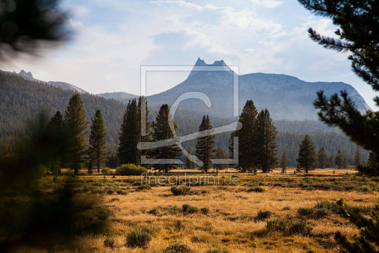 Bild-Nr.: 11607405 Tuolumne Meadows, Yosemite Nationalpark, USA erstellt von janschuler