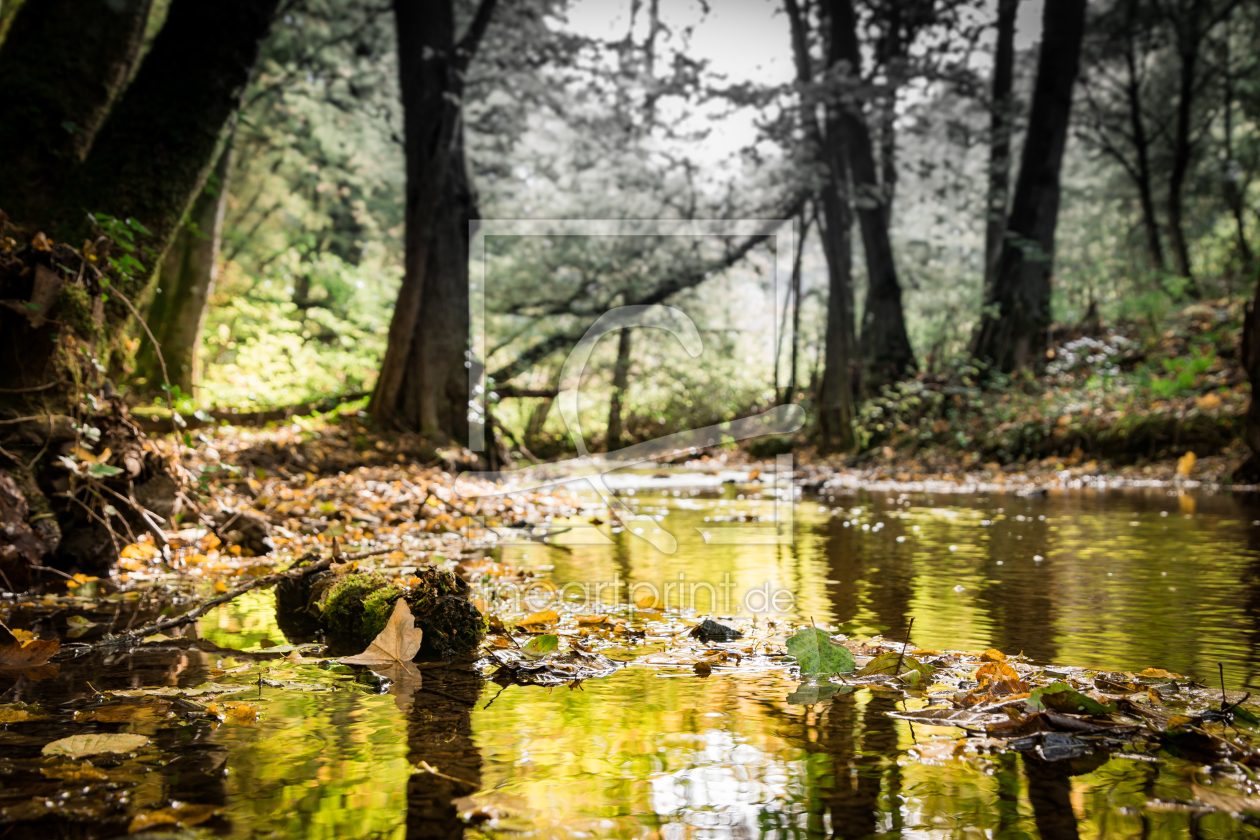 Bild-Nr.: 11607511 Herbstspaziergang erstellt von Richard-Young