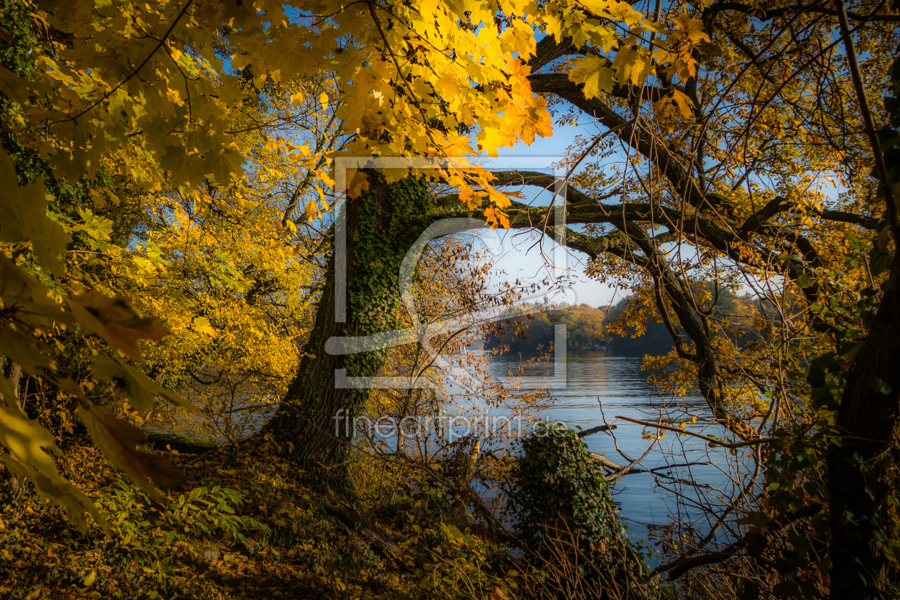 Bild-Nr.: 11609293 Herbstblick erstellt von Wachtendorf