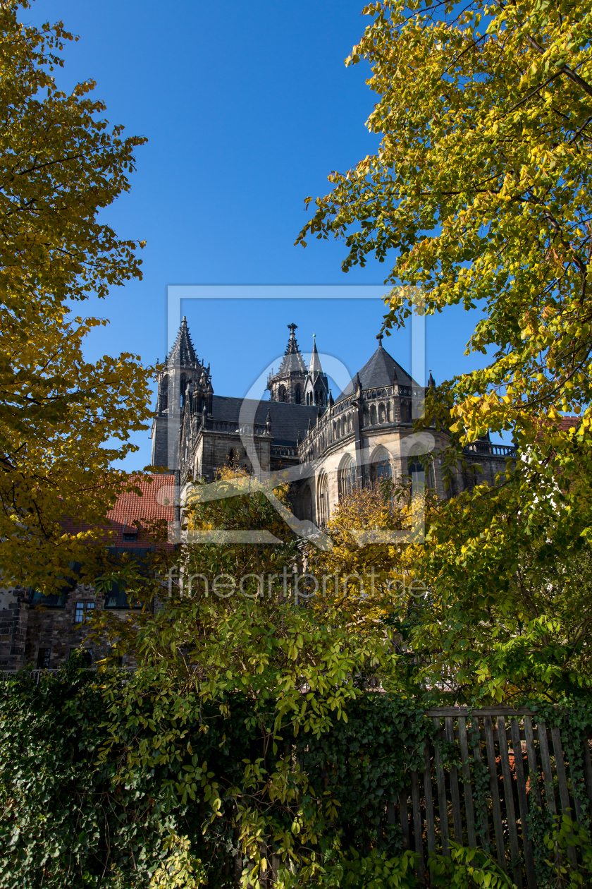 Bild-Nr.: 11609905 Dom zu Magdeburg im Herbst erstellt von Hanker