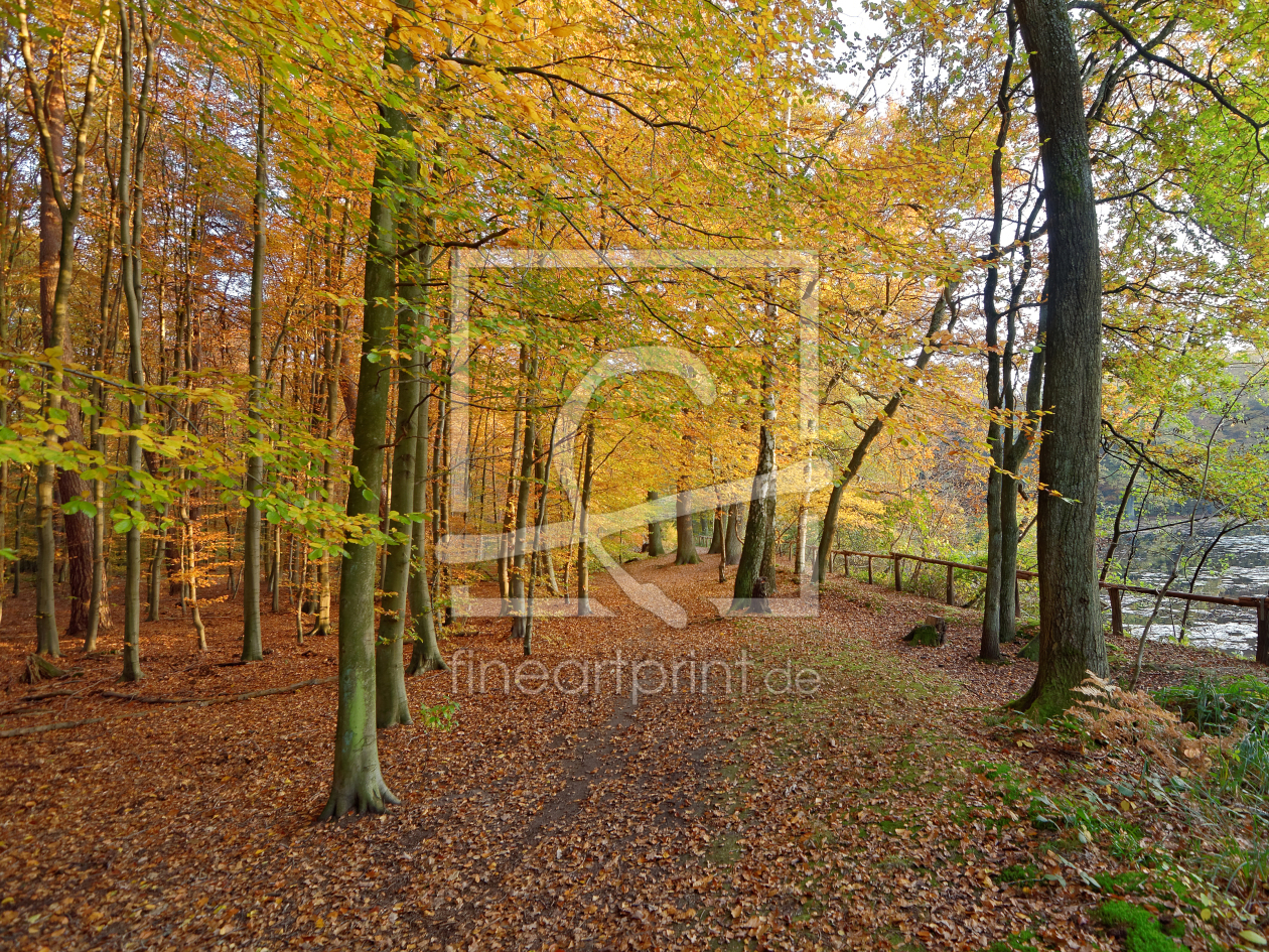 Bild-Nr.: 11610075 Ein Herbstnachmittag erstellt von Rolf Eschbach