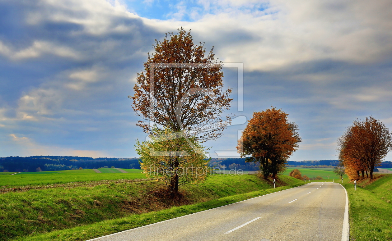 Bild-Nr.: 11610125 Landstraße erstellt von fotoping