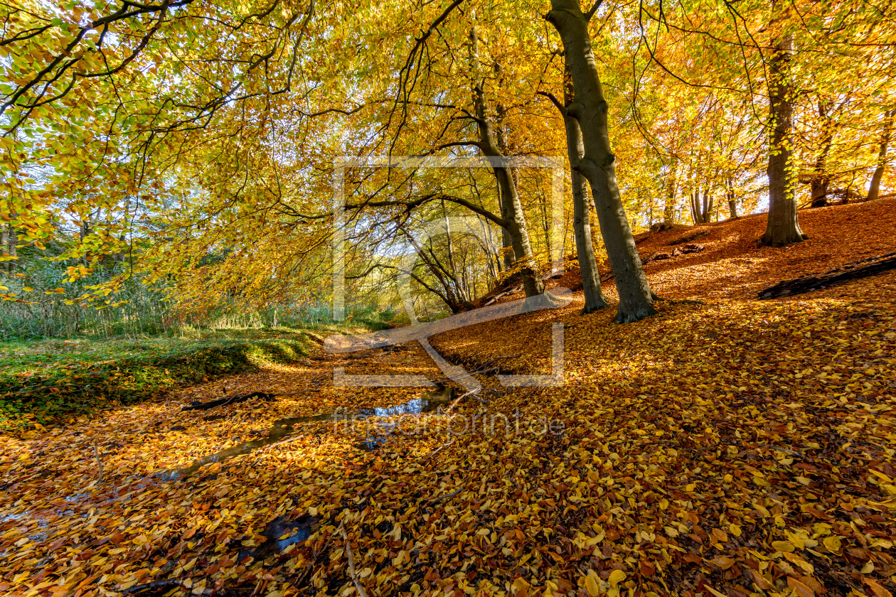 Bild-Nr.: 11610245 Herbstlich III erstellt von Landhans