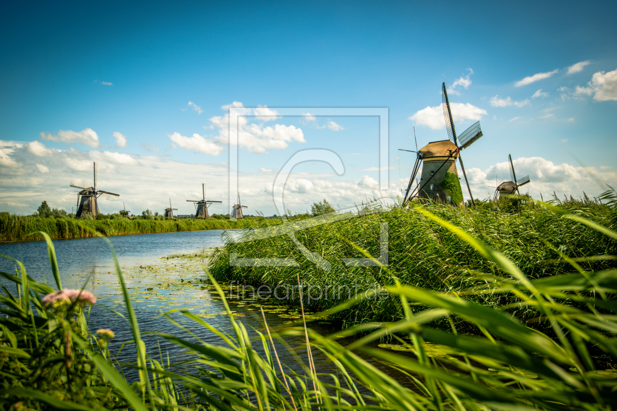 Bild-Nr.: 11610743 Die Windmühlen von Kinderdijk erstellt von hannes cmarits