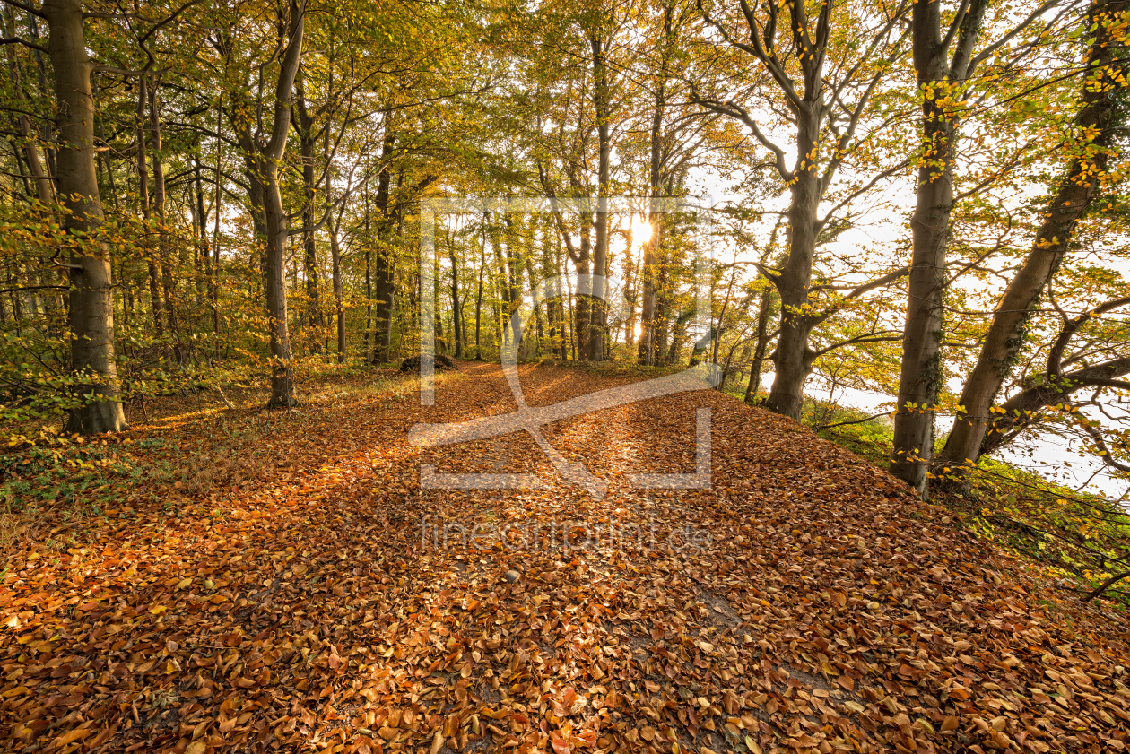 Bild-Nr.: 11610913 Herbstweg am Kellersee erstellt von Nordbilder