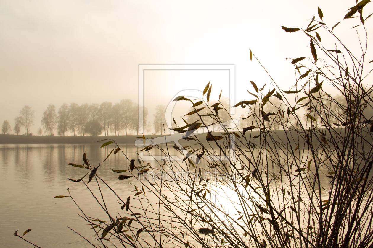 Bild-Nr.: 11612051 Herbst erstellt von Dimo Tabken