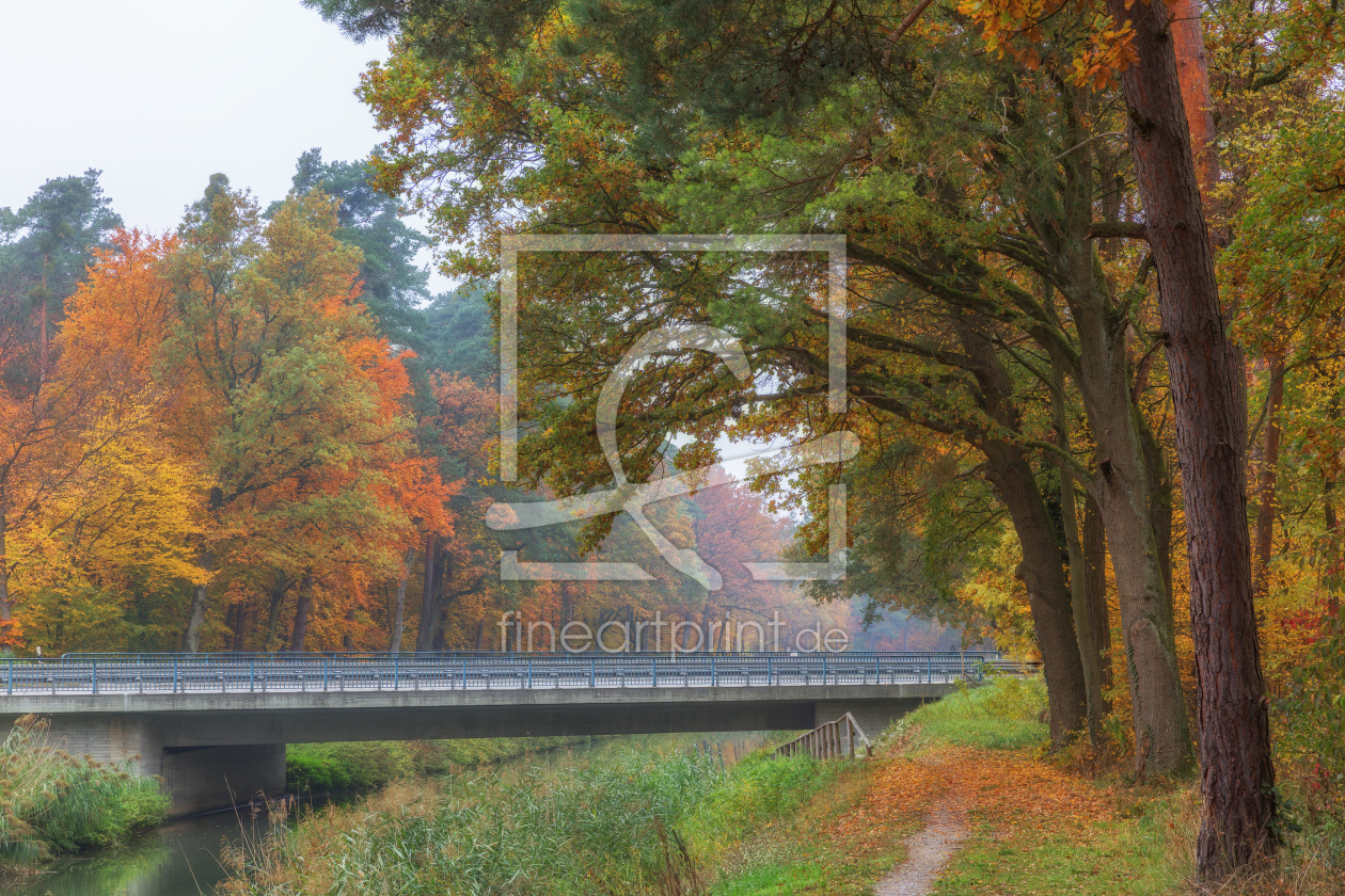 Bild-Nr.: 11612149 Herbstwald erstellt von Thomas Herzog