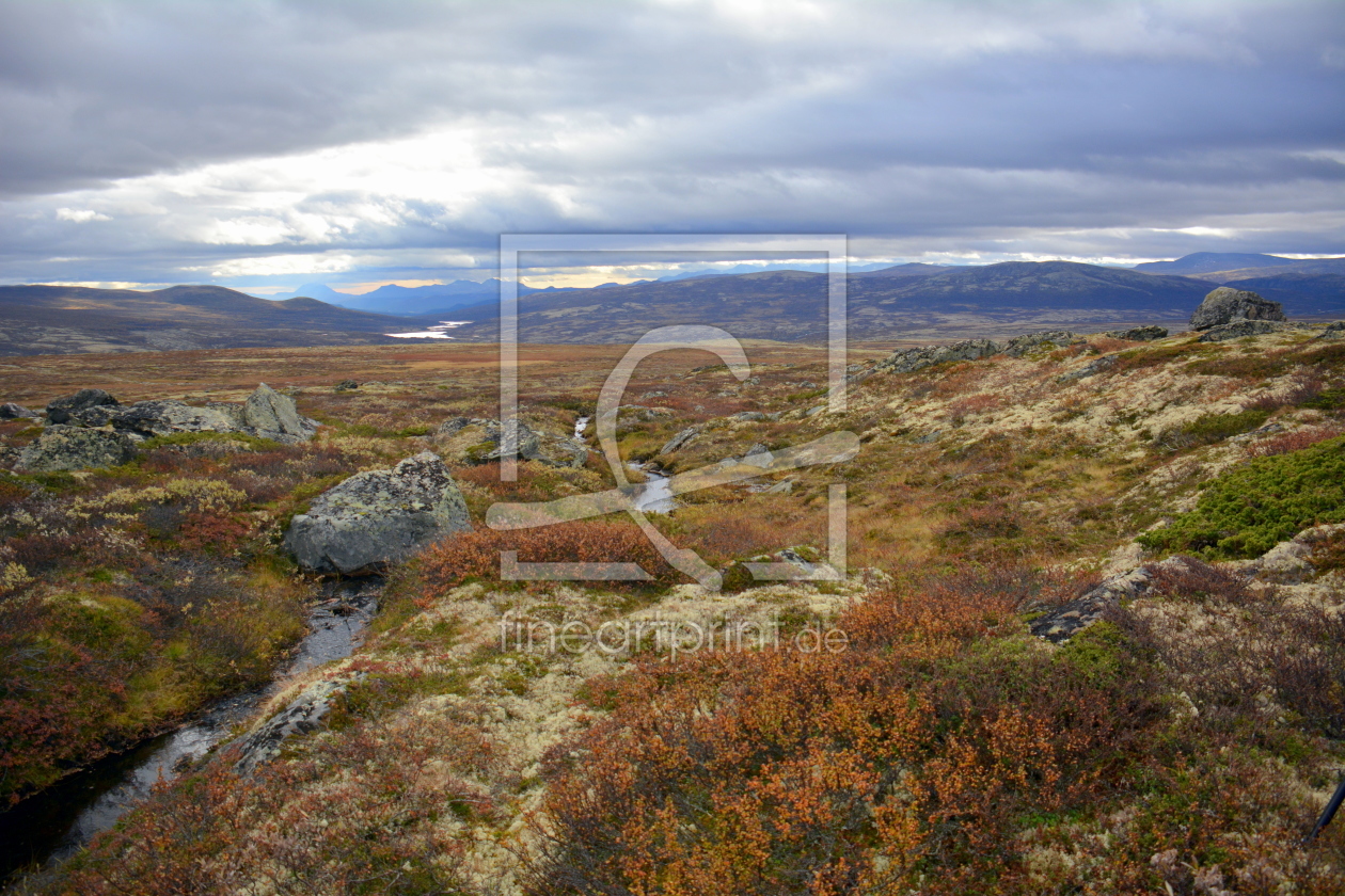 Bild-Nr.: 11612257 unterwegs im Dovrefjell-Nationalpark erstellt von GUGIGEI