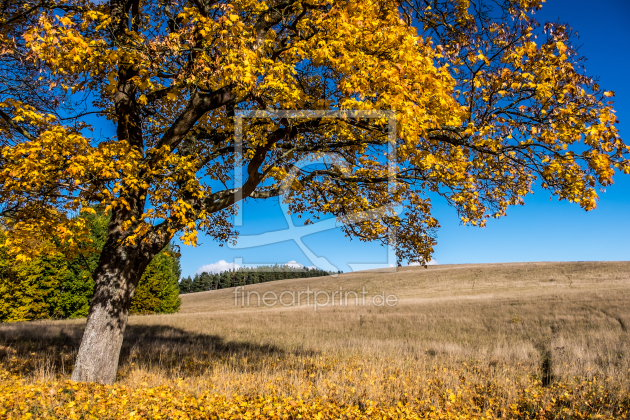 Bild-Nr.: 11612835 Landschaft erstellt von Dieter Neumann