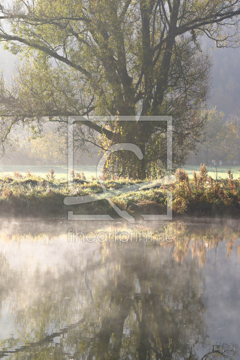 Bild-Nr.: 11613285 Der Fluss am Morgen erstellt von falconer59