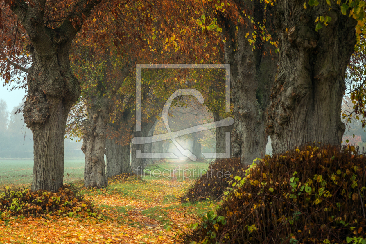Bild-Nr.: 11613365 Irgendwo im Nirgendwo erstellt von FotoDeHRO