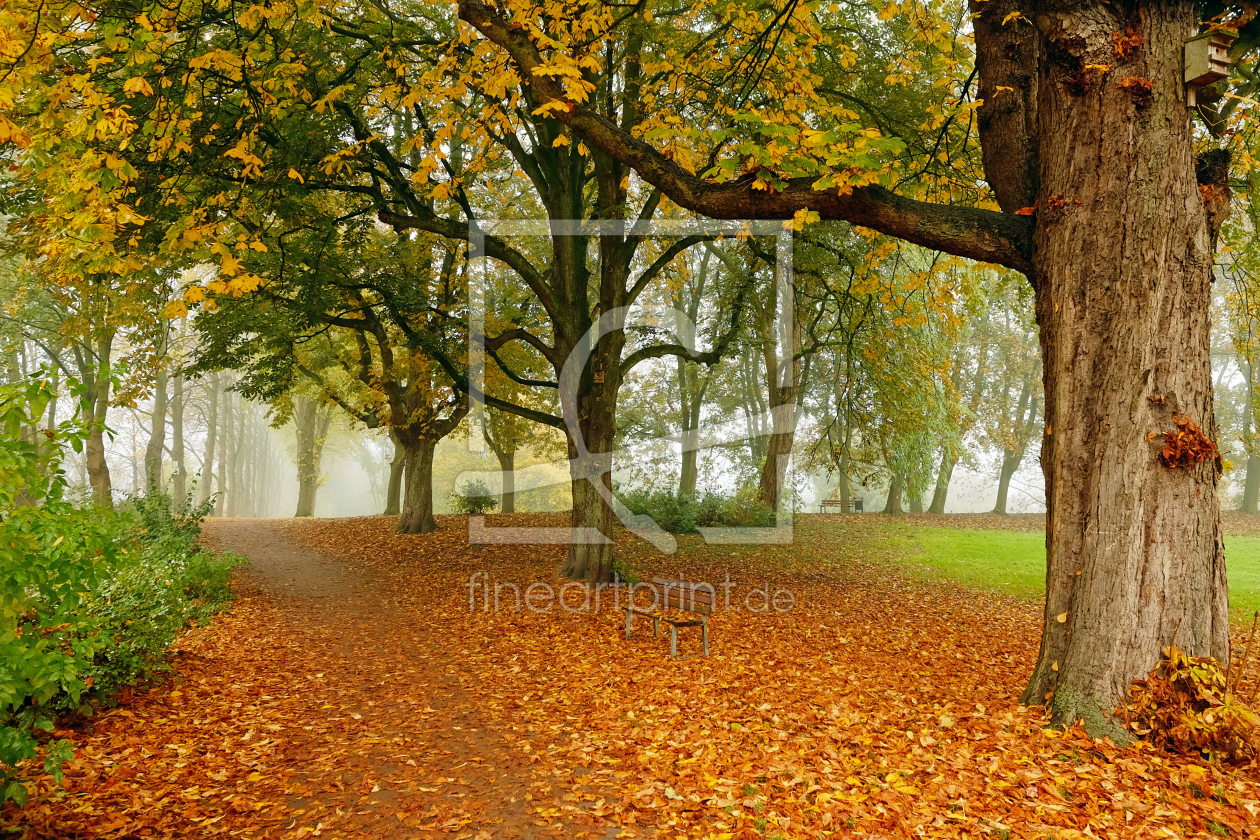 Bild-Nr.: 11613707 Herbsttagsidylle erstellt von Ostfriese