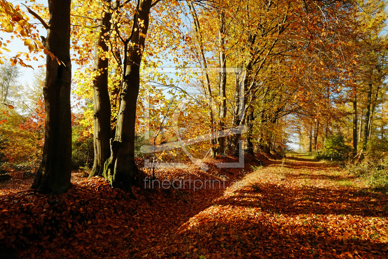 Bild-Nr.: 11614183 Herbstfreuden erstellt von Ostfriese