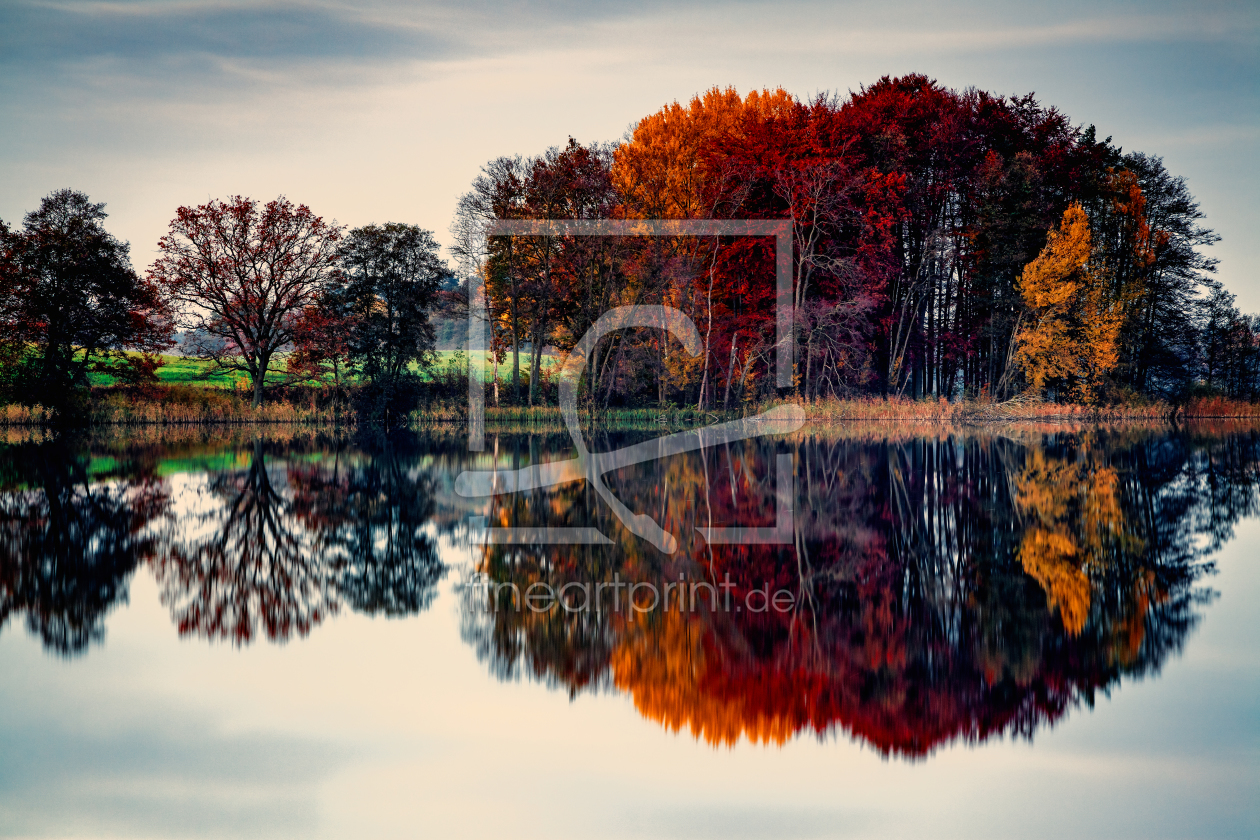 Bild-Nr.: 11614795 Bunter Herbst erstellt von MeckP65