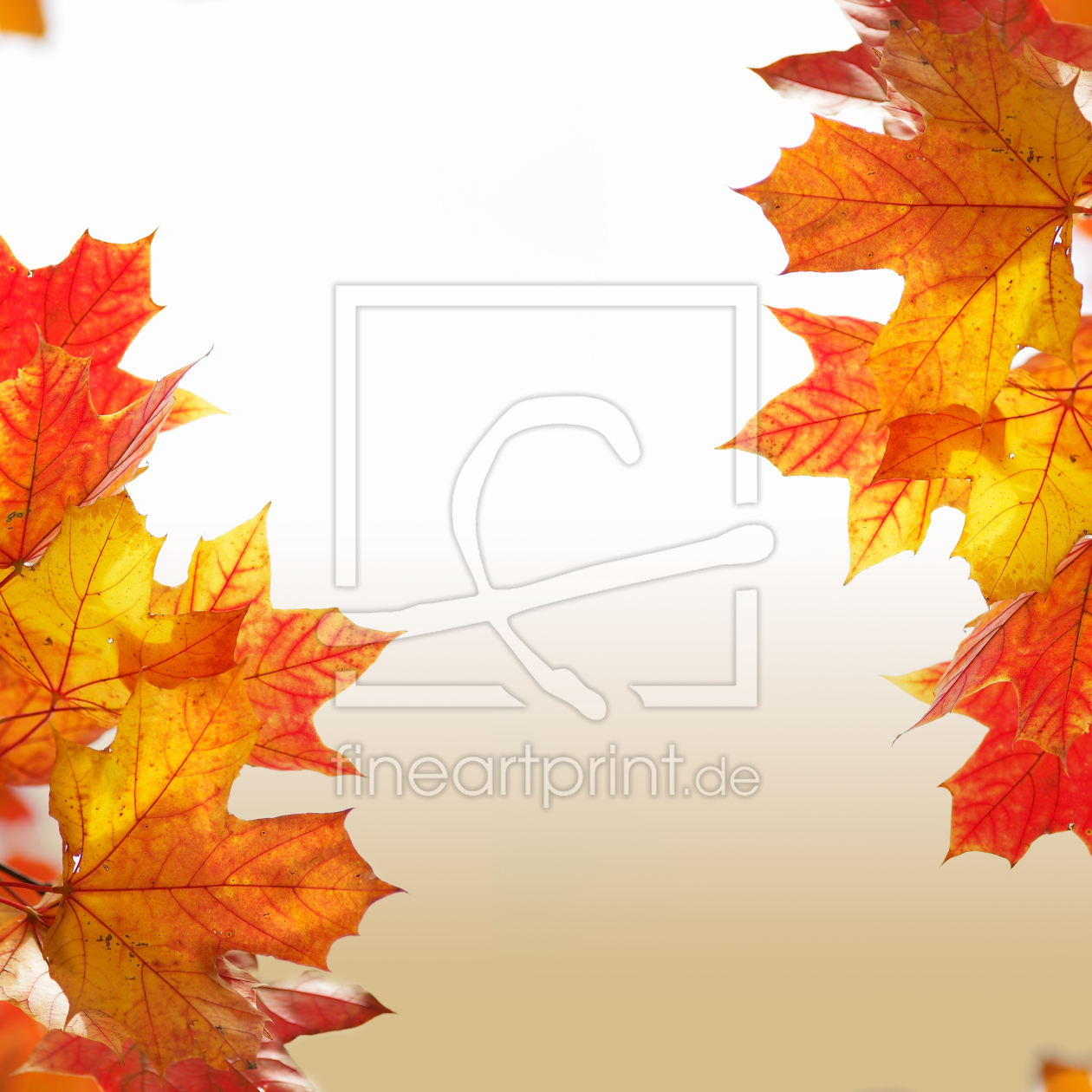 Bild-Nr.: 11615367 Herbst Leuchten erstellt von Tanja Riedel