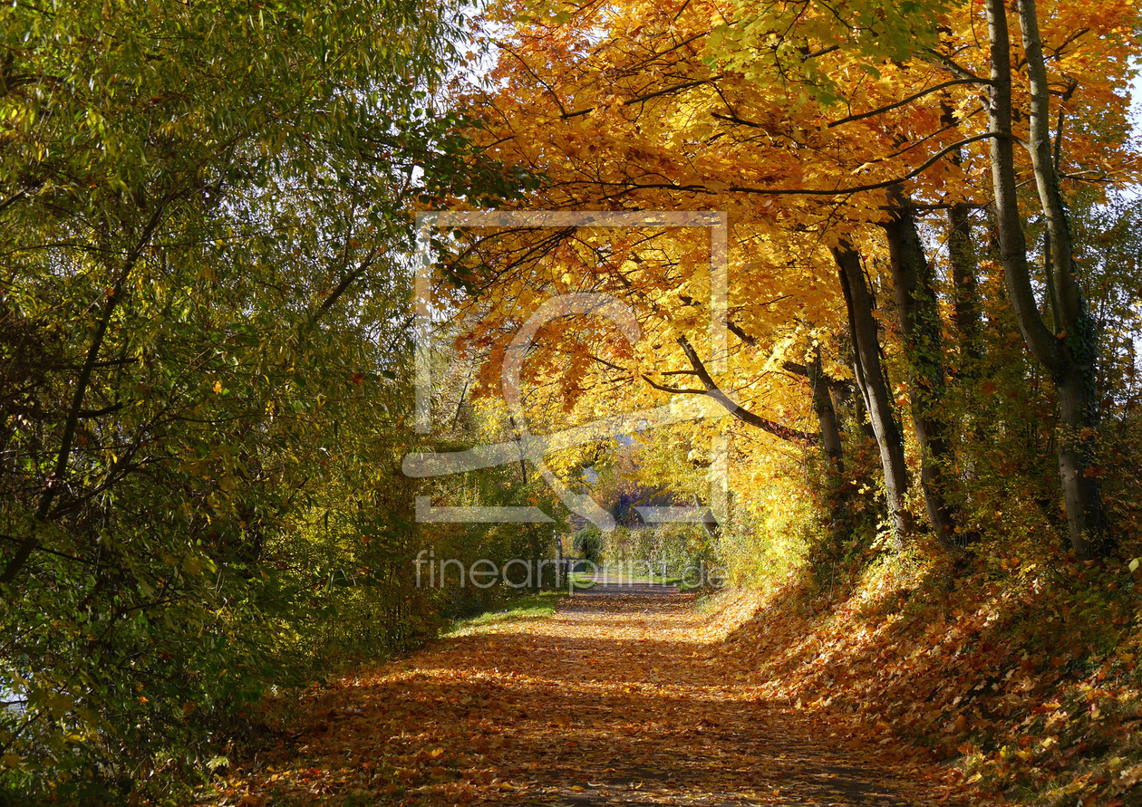 Bild-Nr.: 11615969 durch diese hohle Gasse... erstellt von ilona  montag