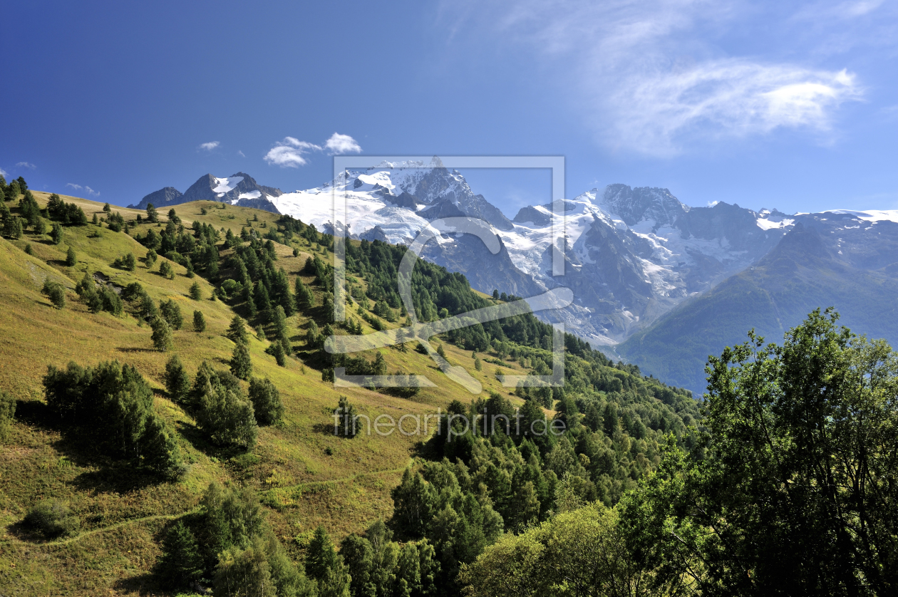 Bild-Nr.: 11616905 Alpenpanorama im Sommer erstellt von KundenNr-160338