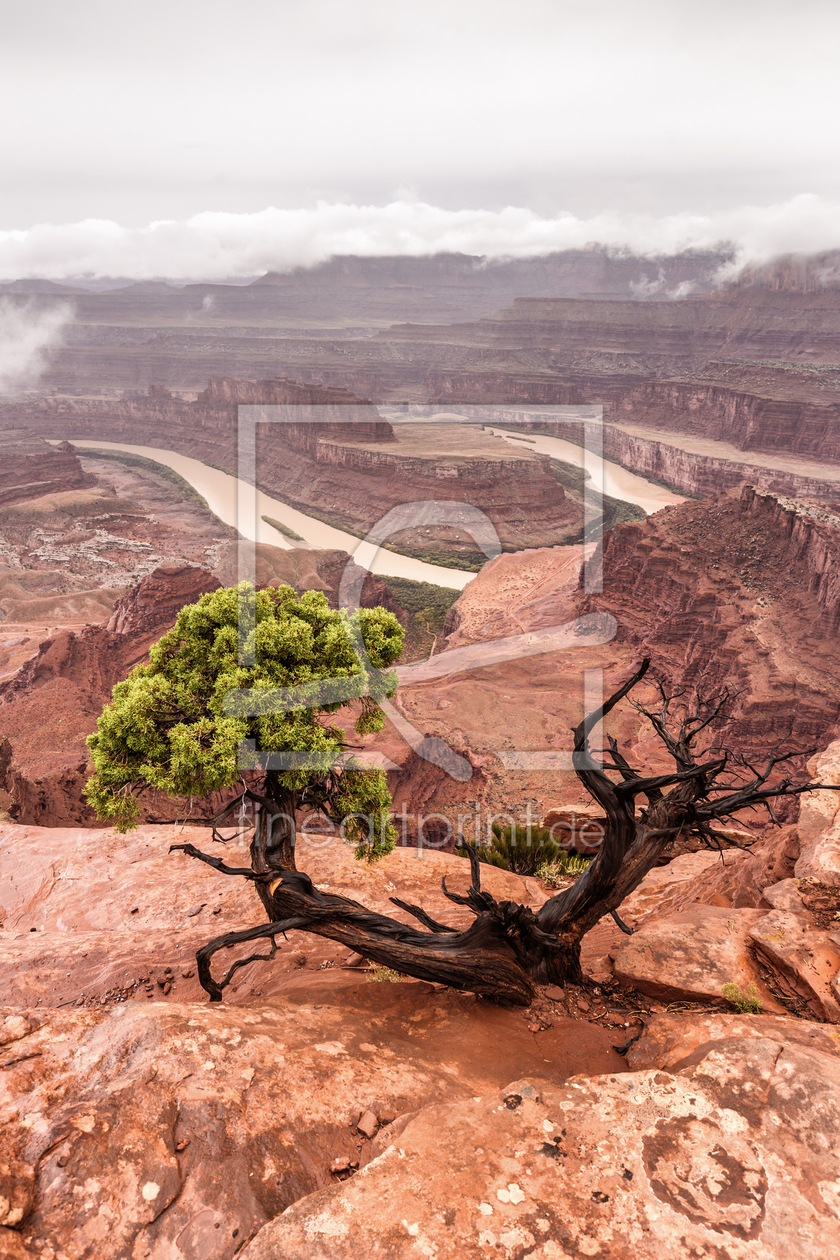 Bild-Nr.: 11617395 Dead Horse Point State Park erstellt von TomKli