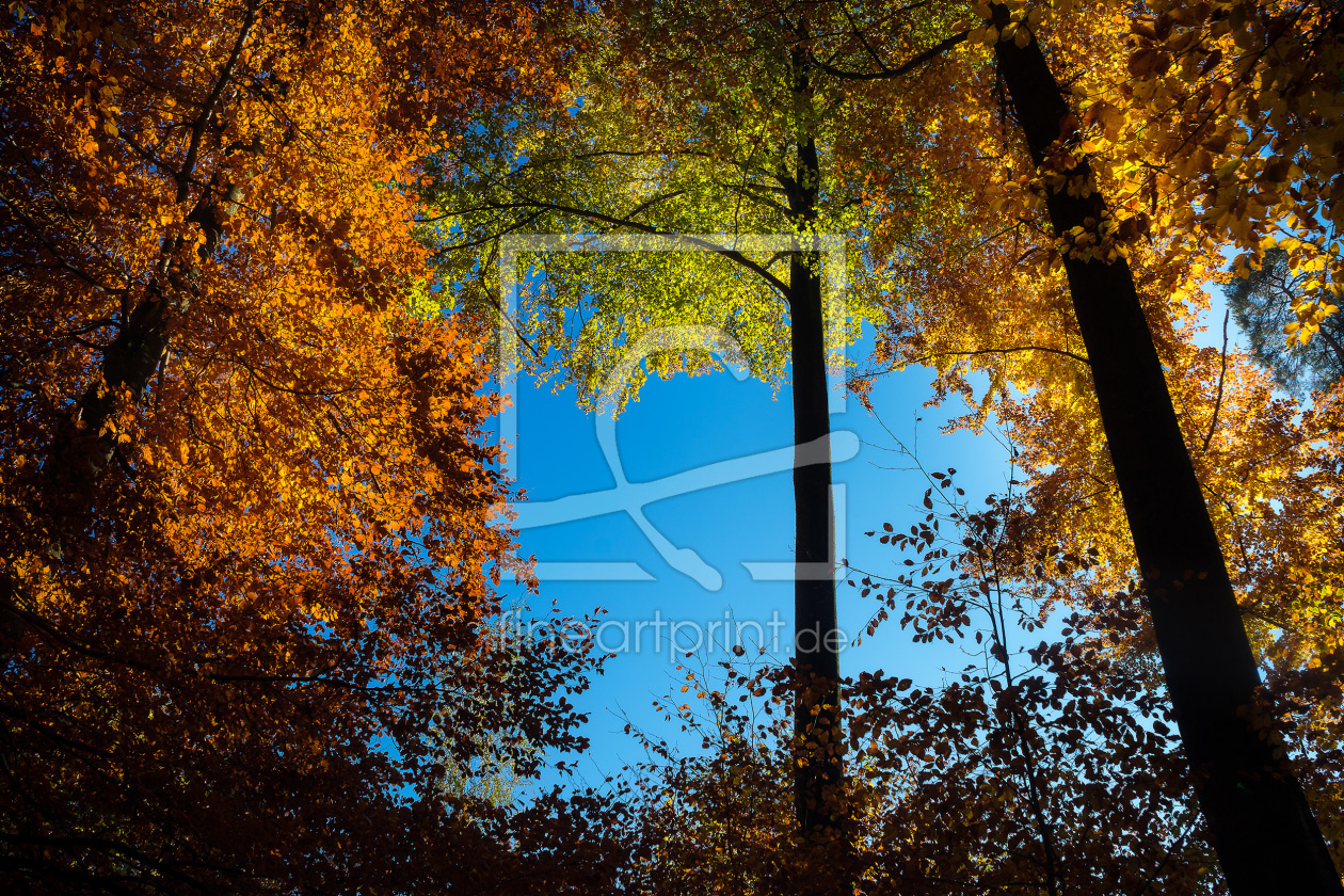 Bild-Nr.: 11618477 Natural colors erstellt von Daniel2711
