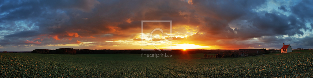 Bild-Nr.: 11619387 Panorama - Sonnenuntergang im Ried erstellt von move