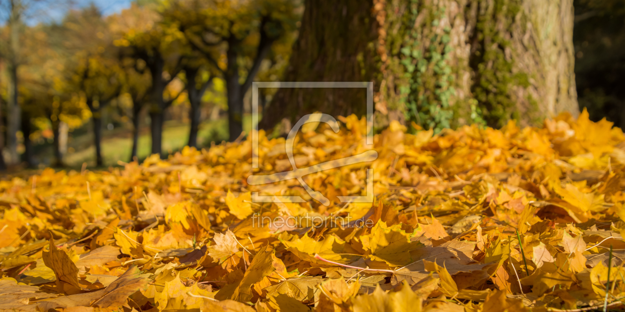 Bild-Nr.: 11624805 Herbst Bild-Nr.: 11624805 Herbst erstellt von Richard-Young