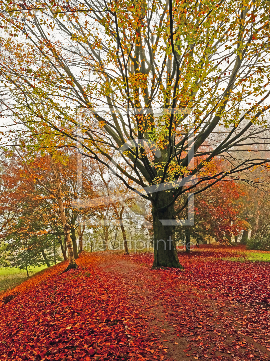 Bild-Nr.: 11625275 Bunte Herbstidylle erstellt von Ostfriese