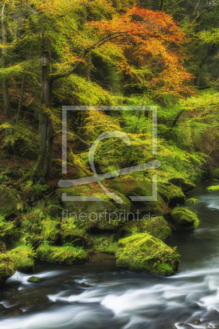 Bild-Nr.: 11626315 herbstliche Klamm erstellt von Daniela Beyer