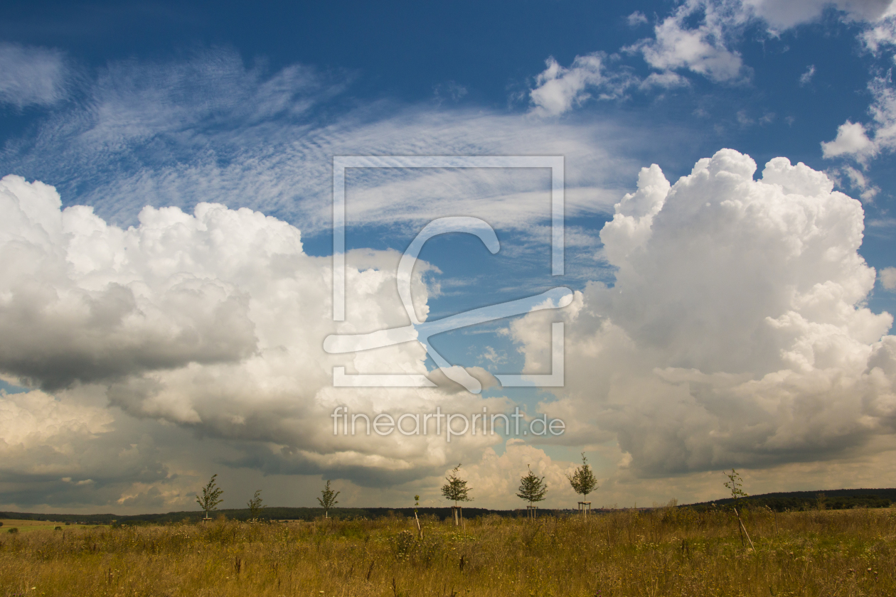 Bild-Nr.: 11626833 Sommerwolken erstellt von online-ms