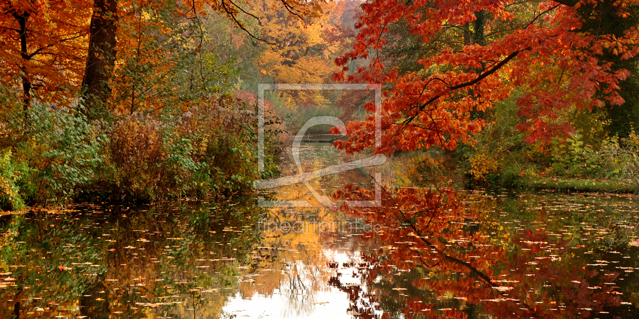 Bild-Nr.: 11627917 Herbst erstellt von Atteloi