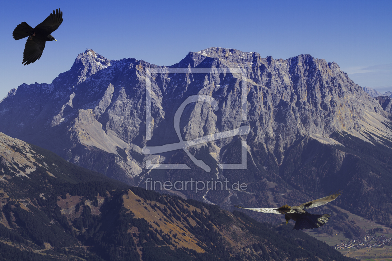 Bild-Nr.: 11628027 Zugspitze mit Bergdohlen erstellt von Sara Agostini