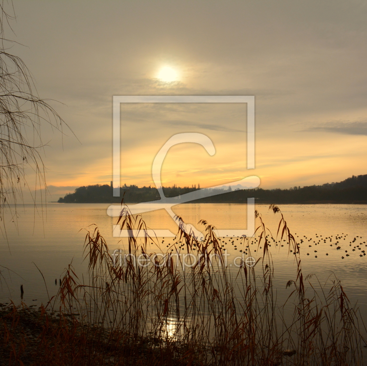 Bild-Nr.: 11630309 Morgens am Bodensee erstellt von GUGIGEI