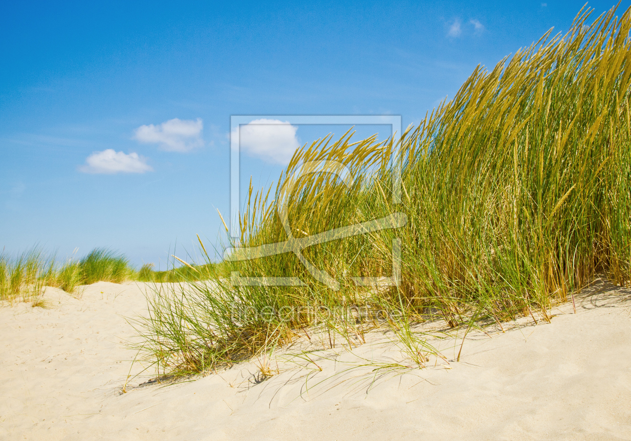 Bild-Nr.: 11630907 Dünen erstellt von euregiophoto